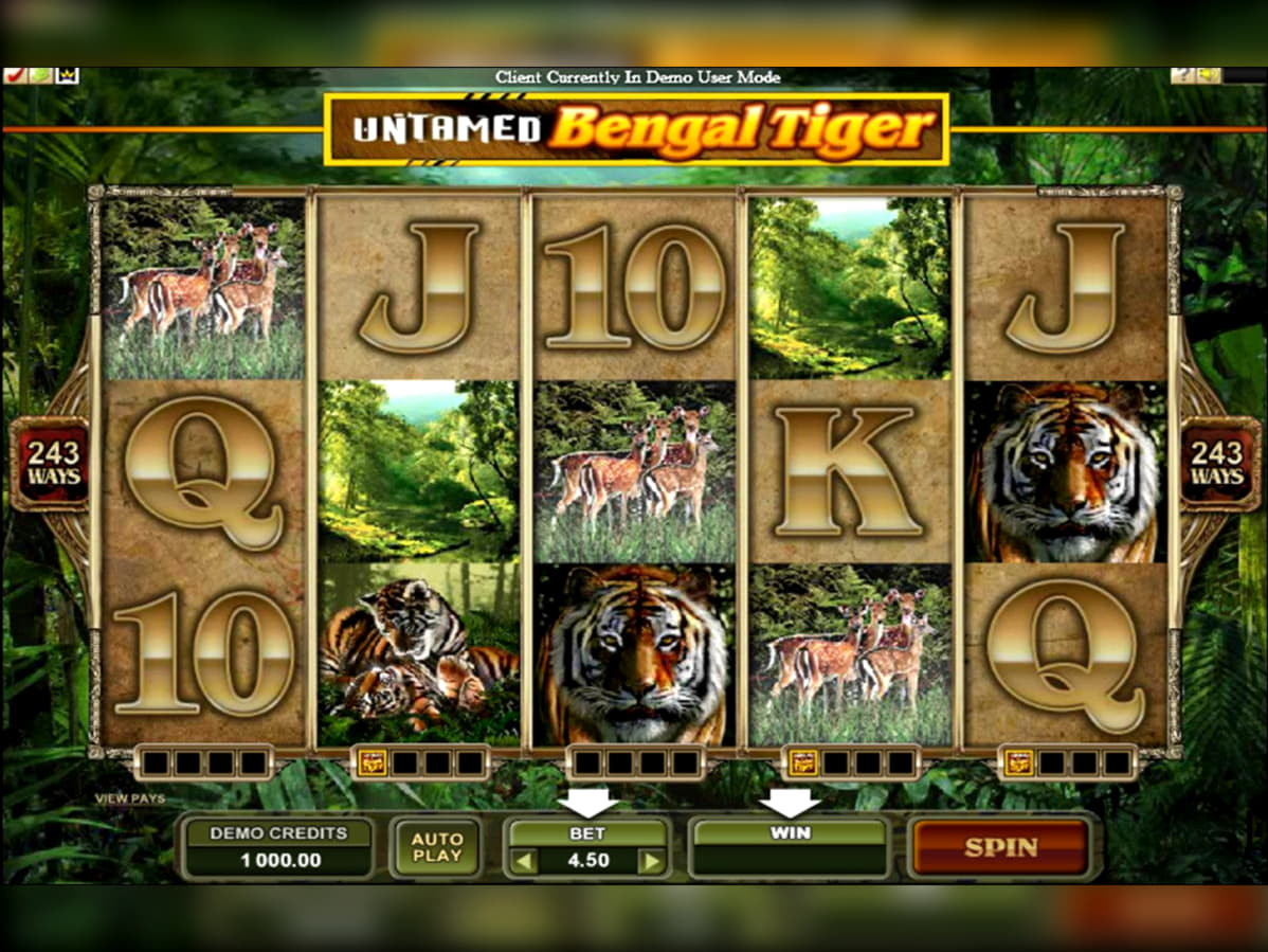 300 FREE Spins at Red Bet Casino